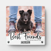 Plaque Photo Meilleurs amis Animaux de compagnie mémorial jamai (Devant)
