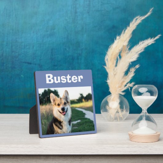 Plaque Photo Mémento de chien de compagnie (Insitu)