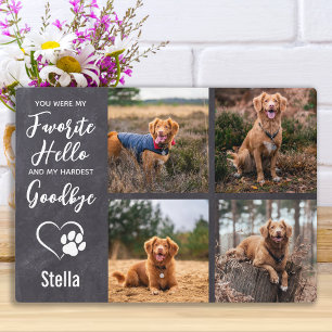 Plaque Photo Mémoire de deuil pour chien Sympathie Perte d'anim