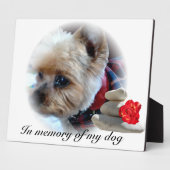 Plaque Photo mémorial (Côté)