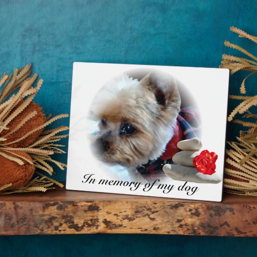 Plaque Photo mémorial (Côté)