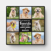 Plaque Photo Mémorial 8 Collage Photo Chien Perte Animaux de Co (Devant)