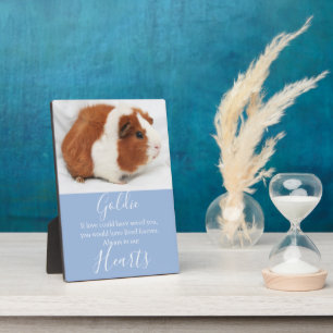 Plaque Photo Mémorial à l'animal