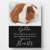 Plaque Photo Mémorial à l'animal (Devant)