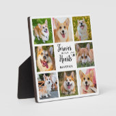 Plaque Photo Mémorial aux chiens pour toujours dans nos coeurs  (Recto)