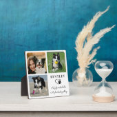 Plaque Photo Mémorial de chien de compagnie moderne personnalis (Insitu)