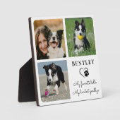 Plaque Photo Mémorial de chien de compagnie moderne personnalis (Recto)
