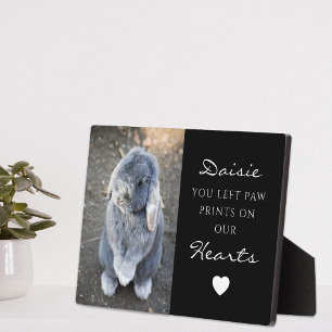 Plaque Photo Mémorial de photo d'animal de compagnie mignon pou