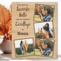 Mémorial du cheval 4 Photo