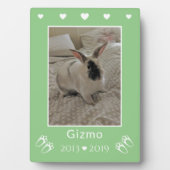 Plaque Photo Mémorial photo vert pour les enfants joyeux Rabbit (Devant)