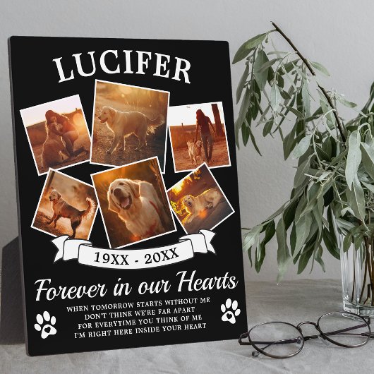 Plaque Photo Mémorial pour animal de compagnie