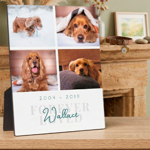 Plaque Photo Mémorial pour animal de compagnie aimé pour toujou