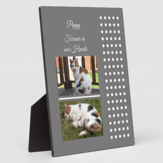 Plaque Photo Mémorial pour animal de compagnie chat gris et bla (Côté)