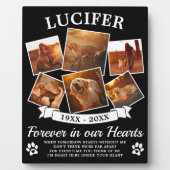 Plaque Photo Mémorial pour animaux de compagnie (Devant)