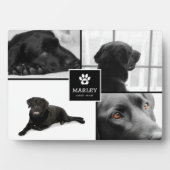Plaque Photo Mémorial pour animaux de compagnie 4 photos | Souv (Devant)