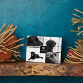 Plaque Photo Mémorial pour animaux de compagnie 4 photos | Souv (Côté)