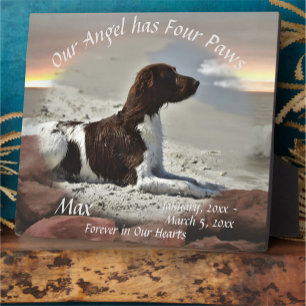 Plaque Photo Mémorial pour animaux de compagnie Waves and Bould