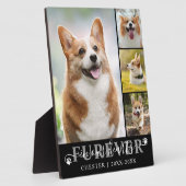 Plaque Photo Mémorial pour chien 4 Photo À JAMAIS DANS NOS CŒUR (Côté)