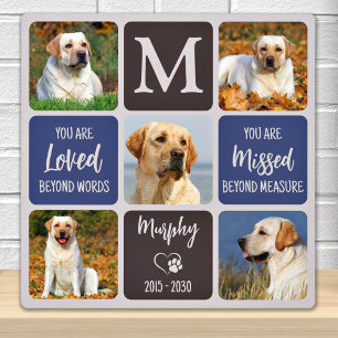 Plaque Photo Mémorial pour chien familier Souvenir Couleurs mod