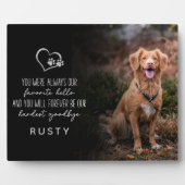 Plaque Photo Mémorial préféré de compagnie d'animal de compagni (Devant)