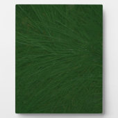 Plaque Photo Merry Christmas Pine Tree Close (Devant)