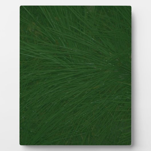 Plaque Photo Merry Christmas Pine Tree Close (Devant)