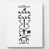 Plaque Photo Message binaire Arecibo 1974 (Devant)