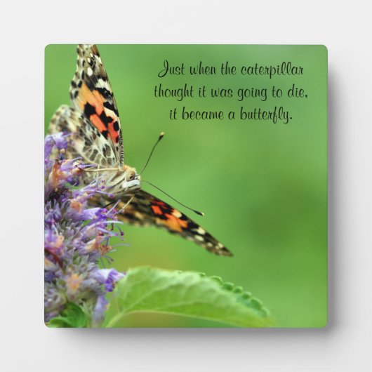 Plaque Photo Métamorphose papillon (Devant)