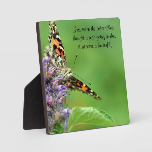 Plaque Photo Métamorphose papillon (Recto)