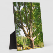 Plaque Photo Mi-été Lumière Småland (Côté)