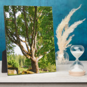 Plaque Photo Mi-été Lumière Småland (Côté)