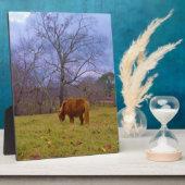 Plaque Photo Miniature brun cheval bleu ciel (Côté)