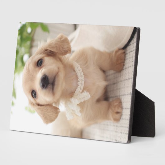 Plaque Photo Miniature Dachshund (Côté)