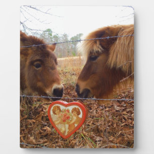 Plaque Photo Miniature Donkey & Horse Valentine Heart