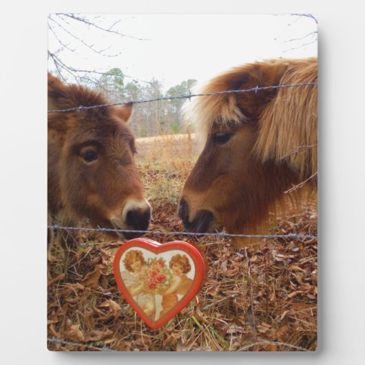 Plaque Photo Miniature Donkey & Horse Valentine Heart (Devant)