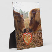 Plaque Photo Miniature Donkey & Horse Valentine Heart (Côté)