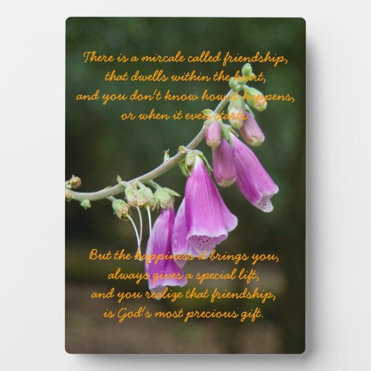 Plaque Photo Miracle of Friendship (Devant)