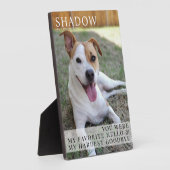 Plaque Photo Modern Pet Memorial Dog Loss Photo Keepsake (Côté)