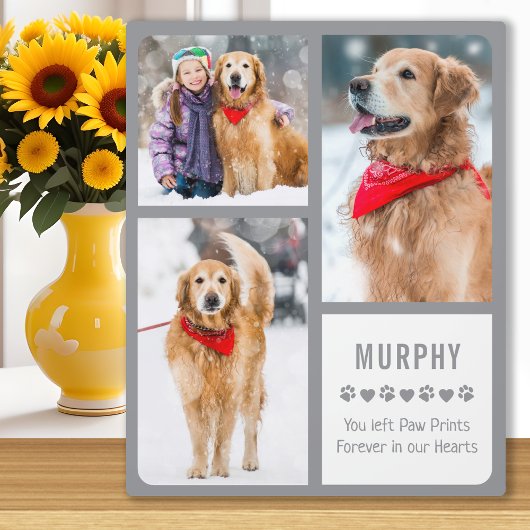Plaque Photo Modern Pet Memorial Keepsake Dog Photo Collage