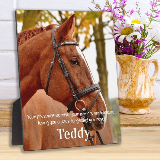 Plaque Photo Moderne Simple Photo Sympathie Souvenir Mémorial