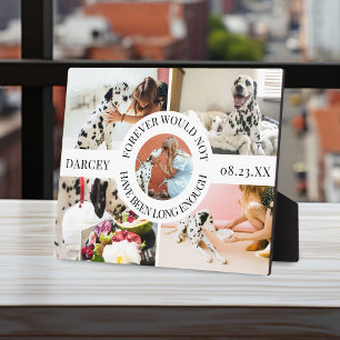 Plaque Photo Moderne stylish Homet souvenir Photo Collage