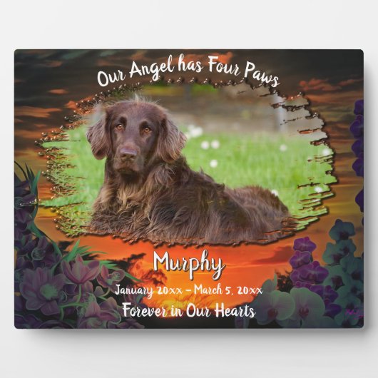 Plaque Photo Mon ange a quatre pattes Sunset 2584 (Devant)