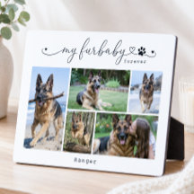 Mon animal de compagnie blanc pour toujours Cadeau