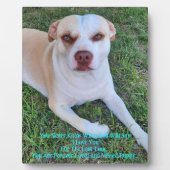 Plaque Photo Mon chiot manquant (Devant)