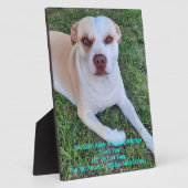 Plaque Photo Mon chiot manquant (Côté)