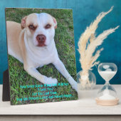 Plaque Photo Mon chiot manquant (Côté)