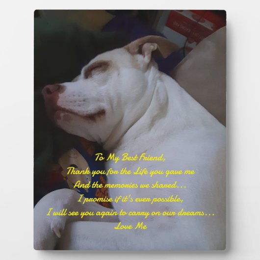 Plaque Photo Mon meilleur ami (Devant)