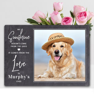 Plaque Photo Mon soleil personnalisé Photo Amoureux de Chien 