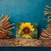 Plaque Photo Monarque Butterfies sur Tournesol (Côté)