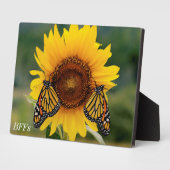 Plaque Photo Monarque Butterfies sur Tournesol (Côté)